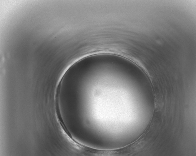 X0000054401532200508051700