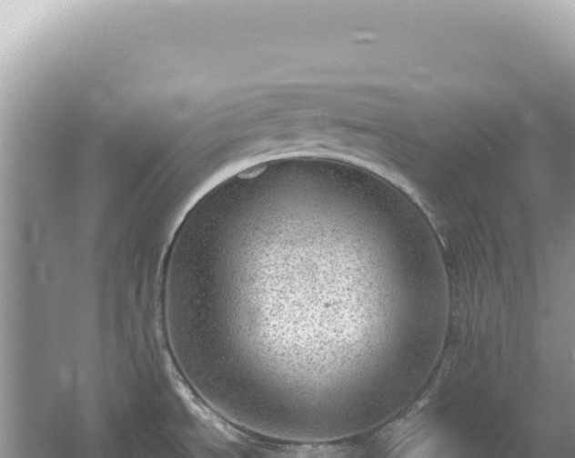 X0000054401534200508051700