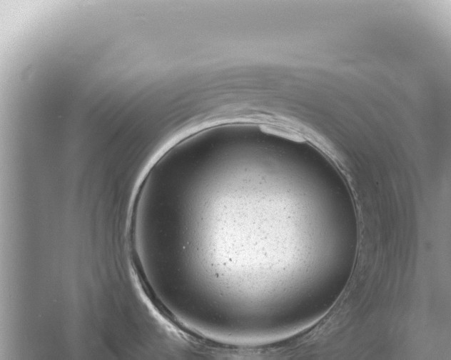 X0000054401536200508051700