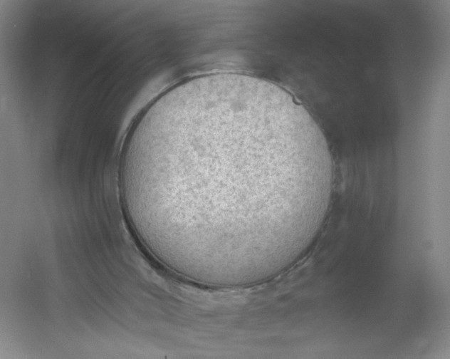 X0000054400004200508121711