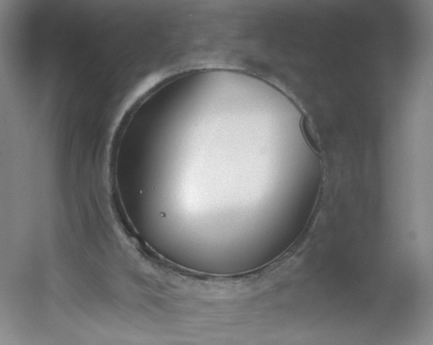 X0000054400008200508121711