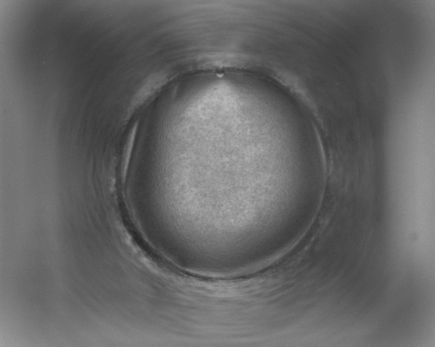 X0000054400010200508121711