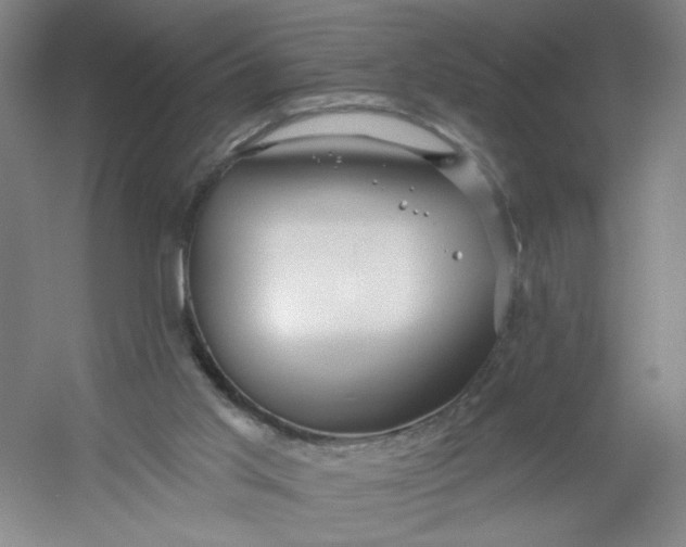 X0000054400013200508121711