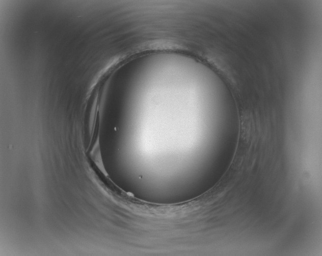 X0000054400015200508121711