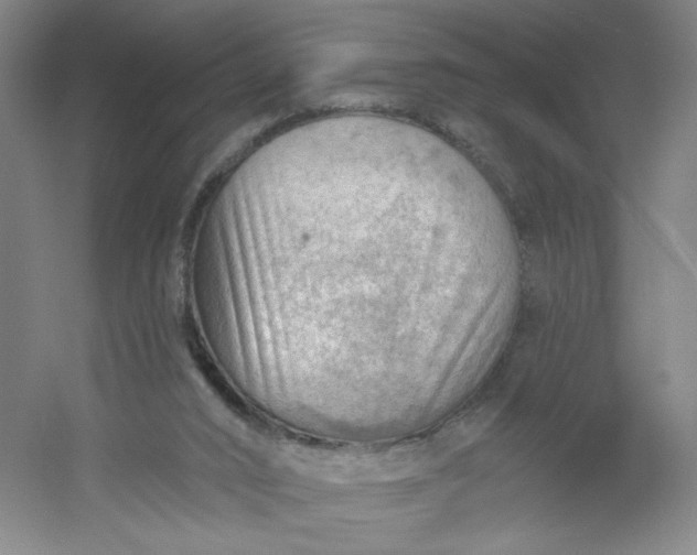 X0000054400016200508121711