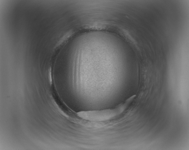 X0000054400020200508121711