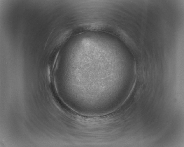 X0000054400022200508121711