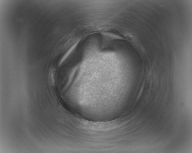 X0000054400026200508121711