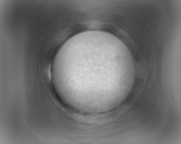 X0000054400028200508121711