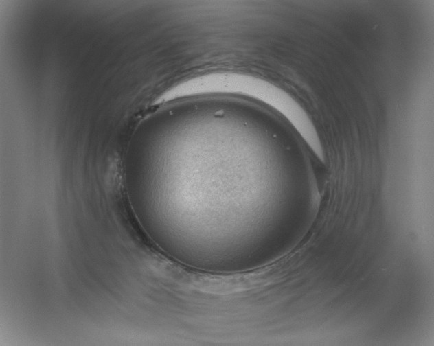 X0000054400029200508121711