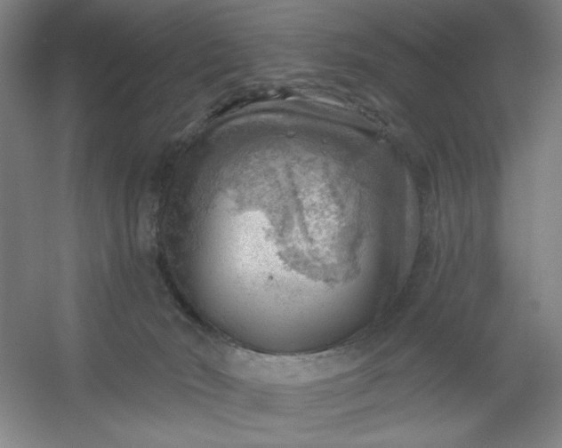 X0000054400030200508121711