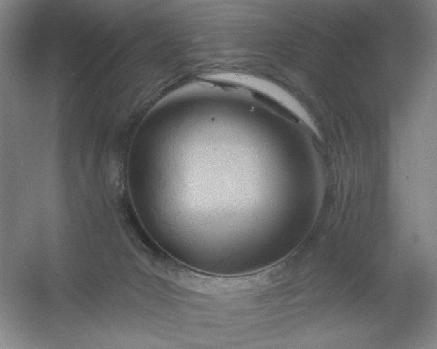 X0000054400031200508121711