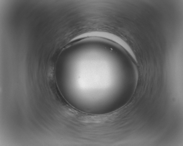 X0000054400033200508121710