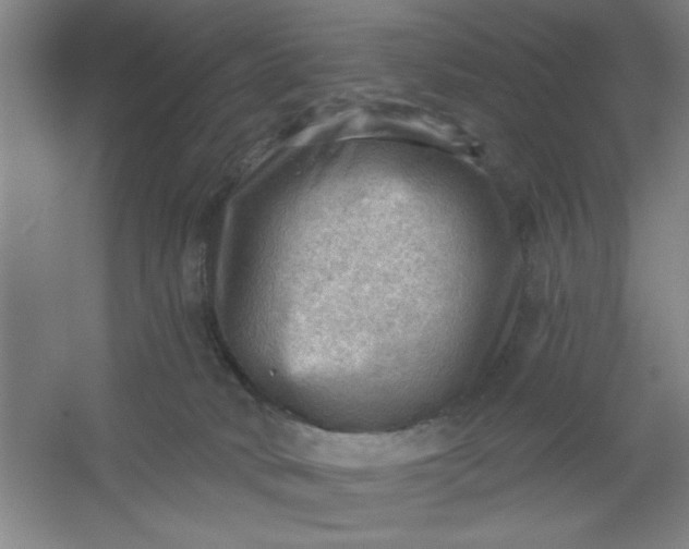 X0000054400034200508121710