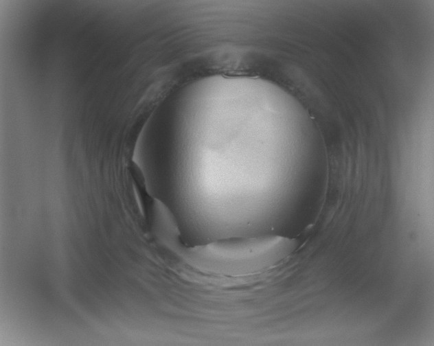 X0000054400035200508121710