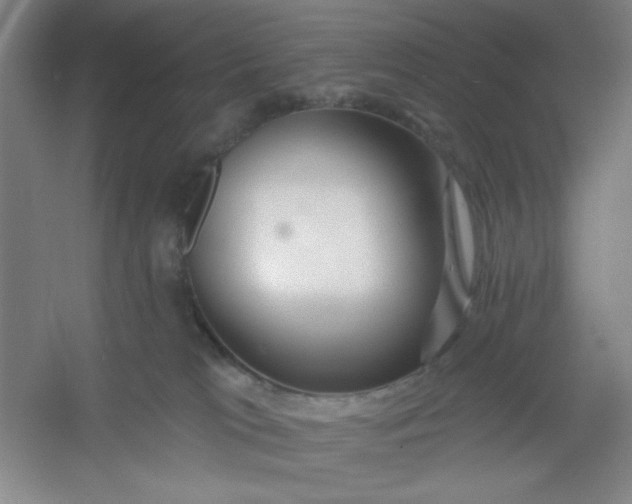 X0000054400037200508121710