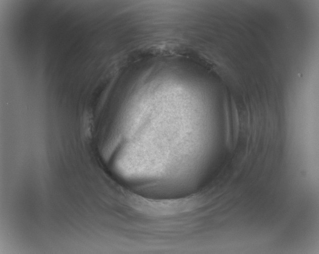 X0000054400038200508121710