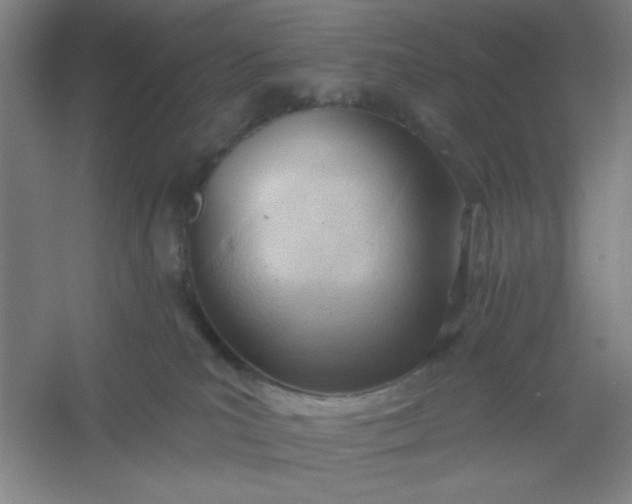 X0000054400039200508121710