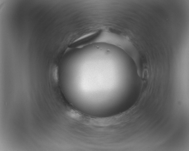 X0000054400041200508121710