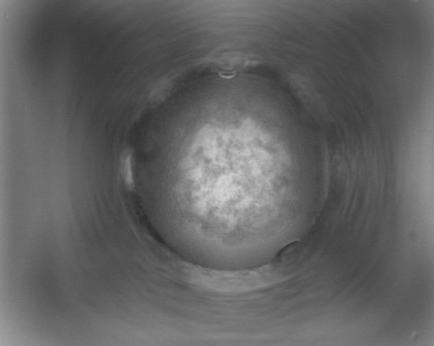 X0000054400042200508121710