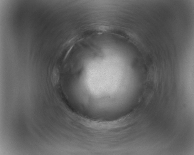 X0000054400043200508121710