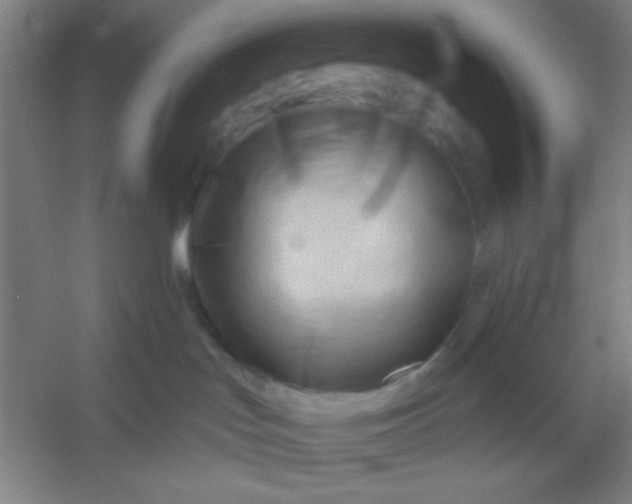 X0000054400047200508121710