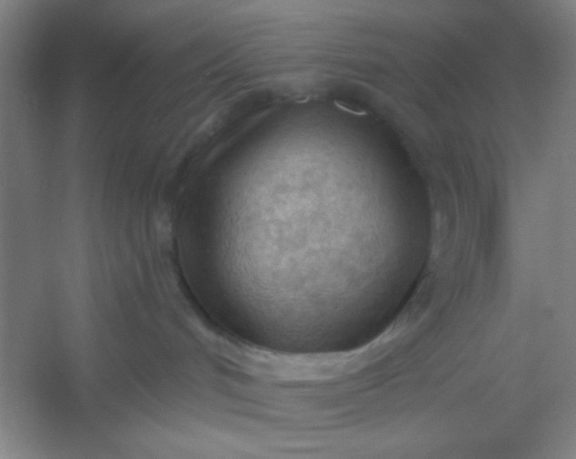 X0000054400048200508121710