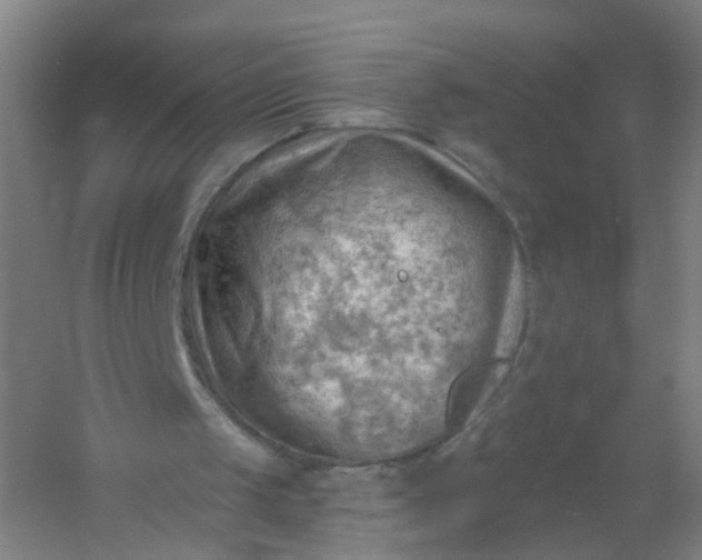 X0000054400049200508121709