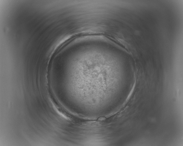 X0000054400050200508121709