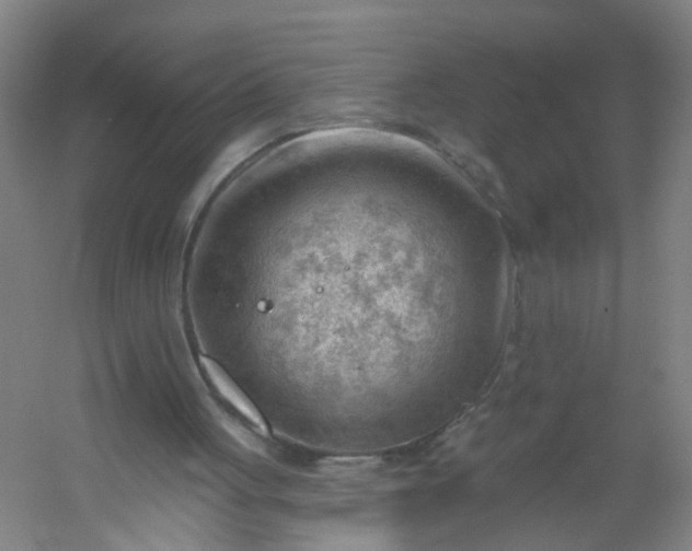 X0000054400051200508121709