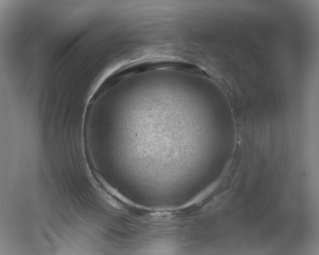 X0000054400052200508121709