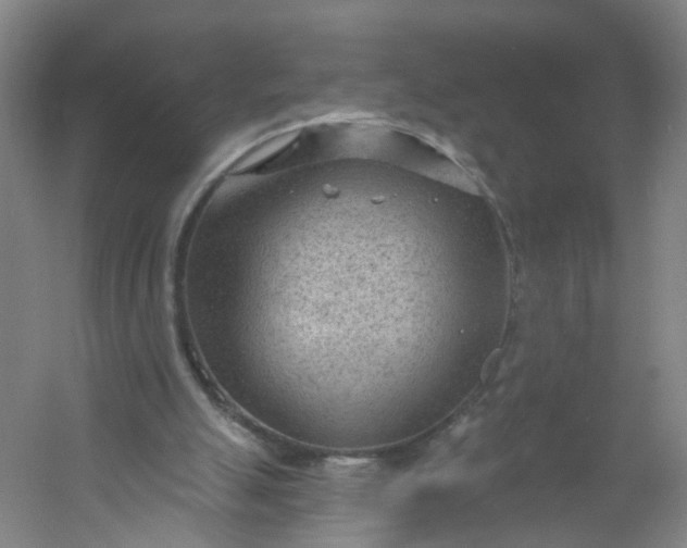 X0000054400055200508121709