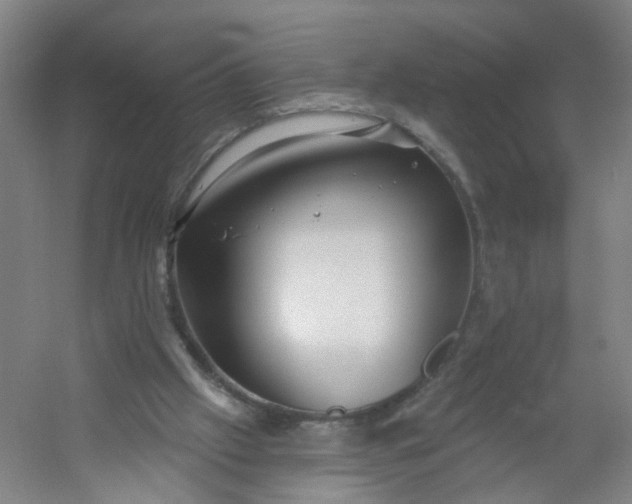 X0000054400057200508121710