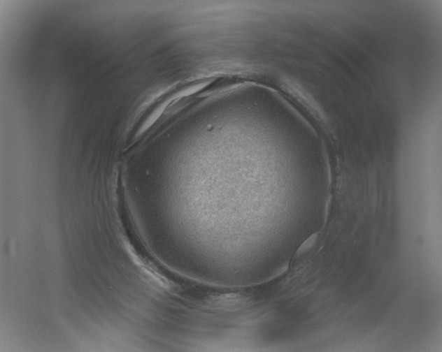 X0000054400058200508121710