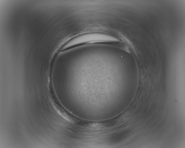 X0000054400059200508121710