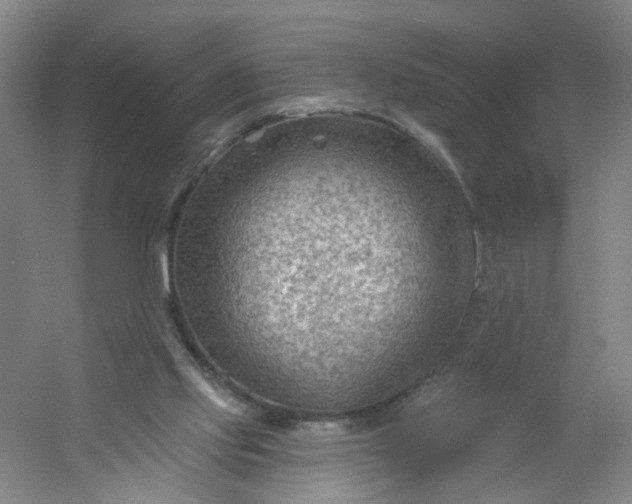 X0000054400061200508121710