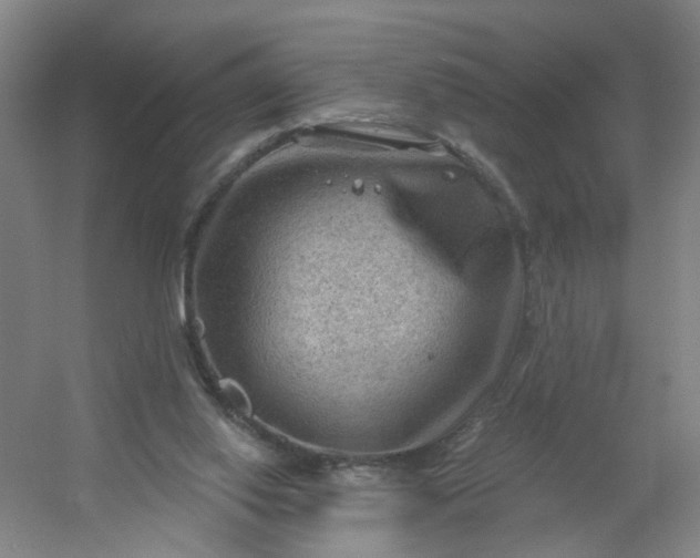 X0000054400062200508121710