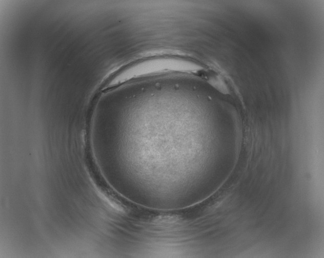 X0000054400063200508121710