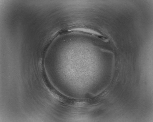 X0000054400066200508121710