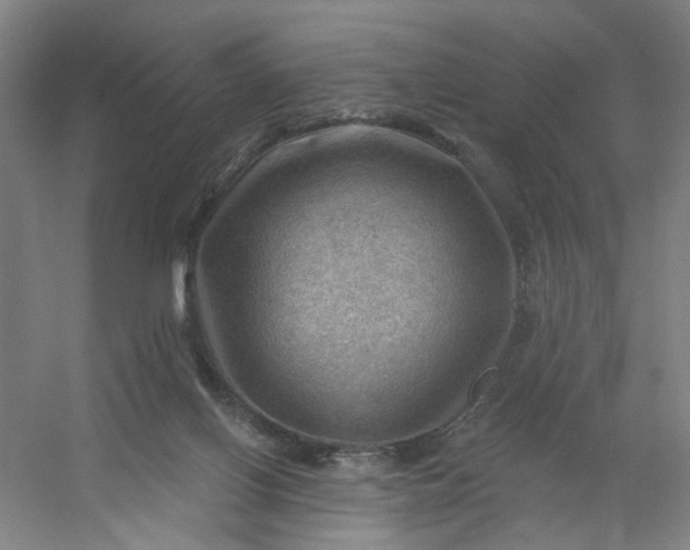 X0000054400070200508121710