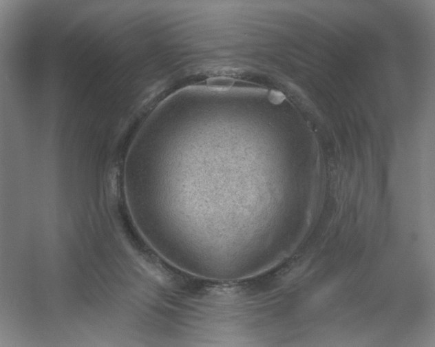 X0000054400071200508121710