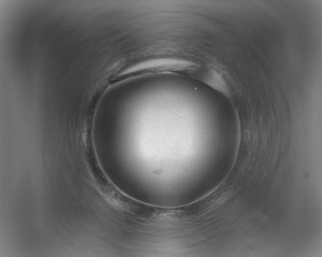 X0000054400072200508121710