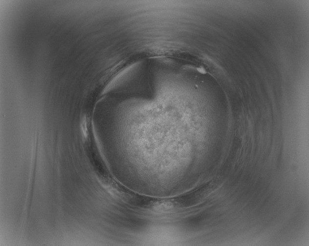 X0000054400075200508121710