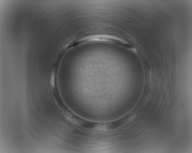 X0000054400076200508121710