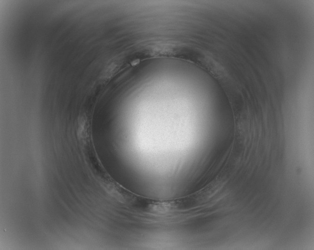 X0000054400079200508121710