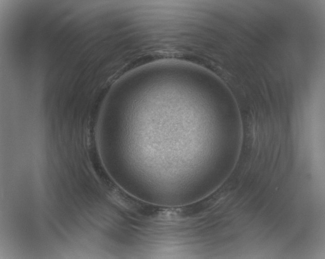 X0000054400080200508121710