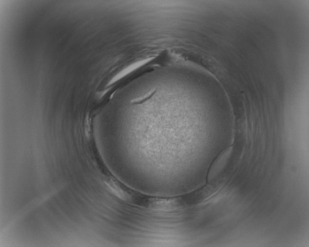 X0000054400081200508121710