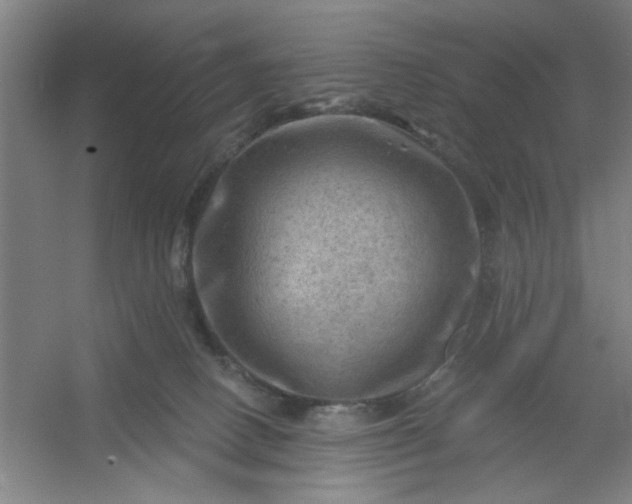 X0000054400082200508121710