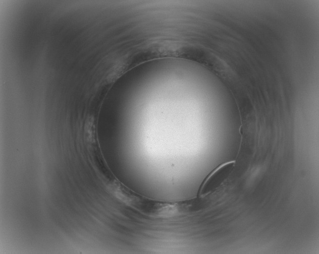 X0000054400083200508121710