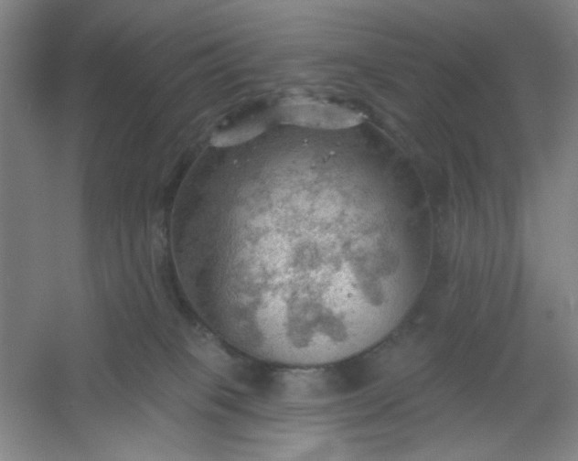 X0000054400085200508121710